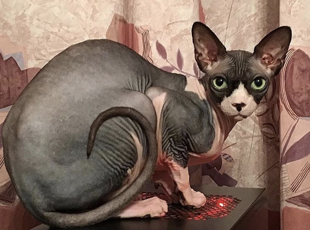 Photograph by Теодора Милекич