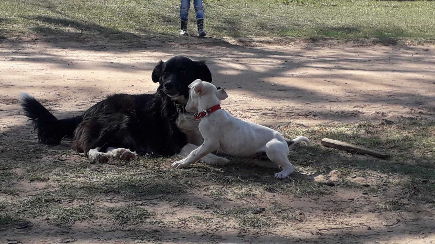 Photo #5019144