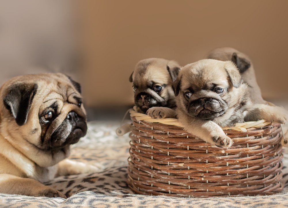 Photograph by Михеева Олеся