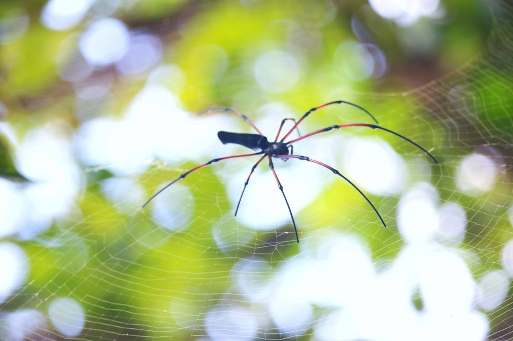 Photograph by Bepary Norullah
