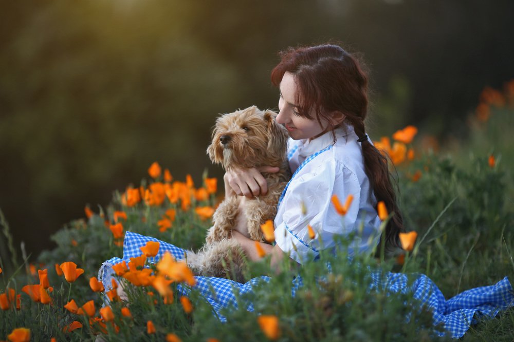 Дороти и Тото