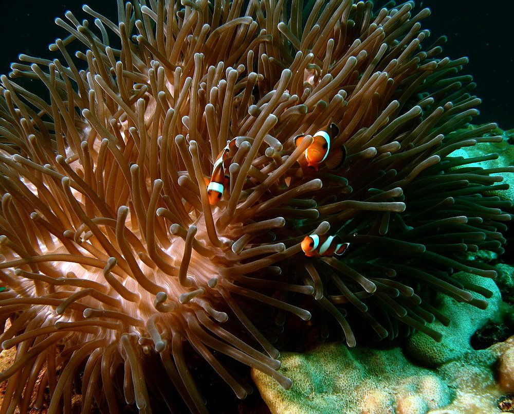 Photograph by Александр Юдин