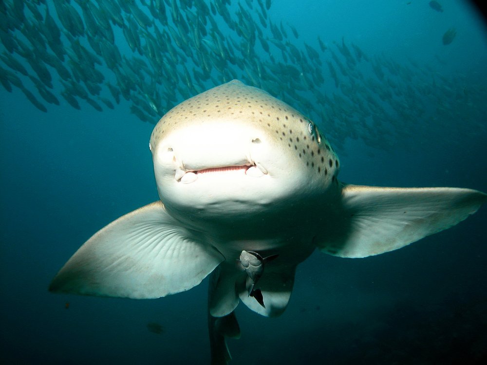 Photograph by Александр Юдин