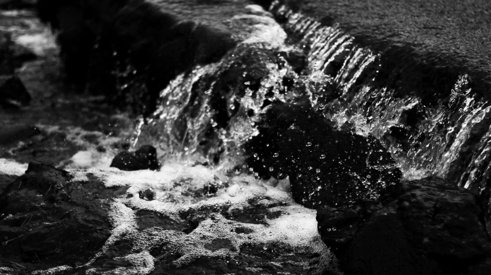 Photograph by Анастасия Калина