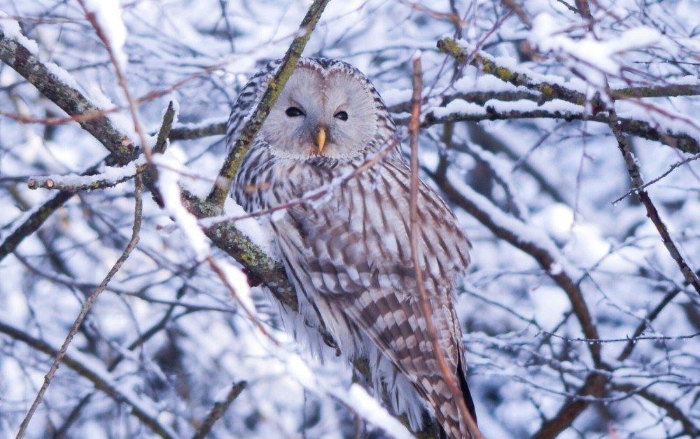 Photograph by Анастасия Калина