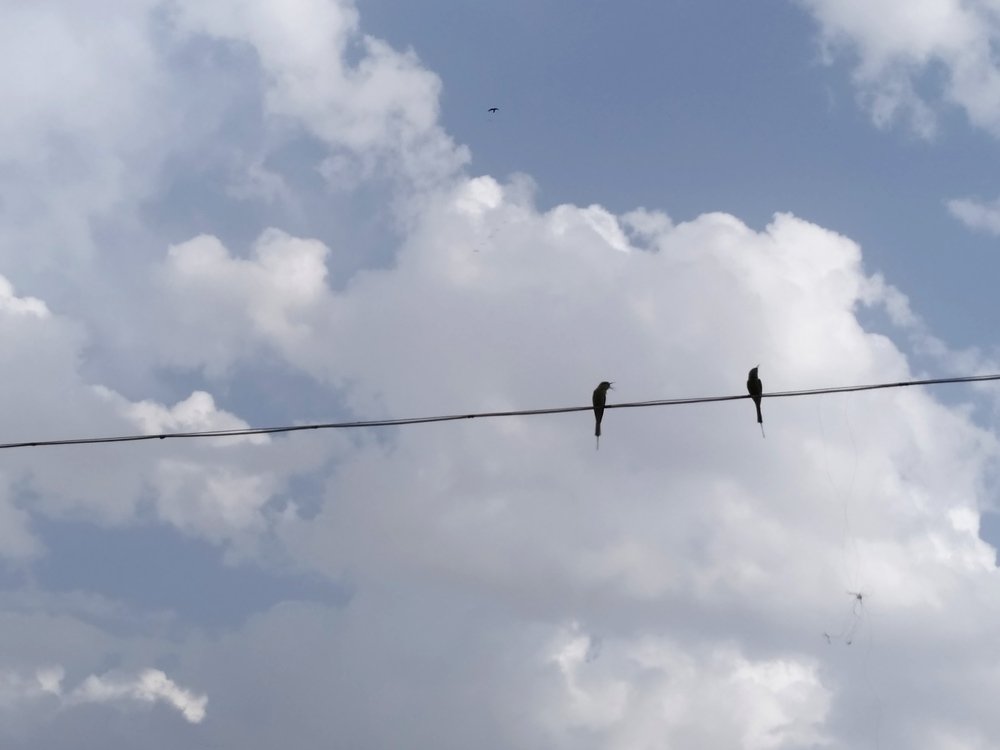 Photograph by Megha Goyal