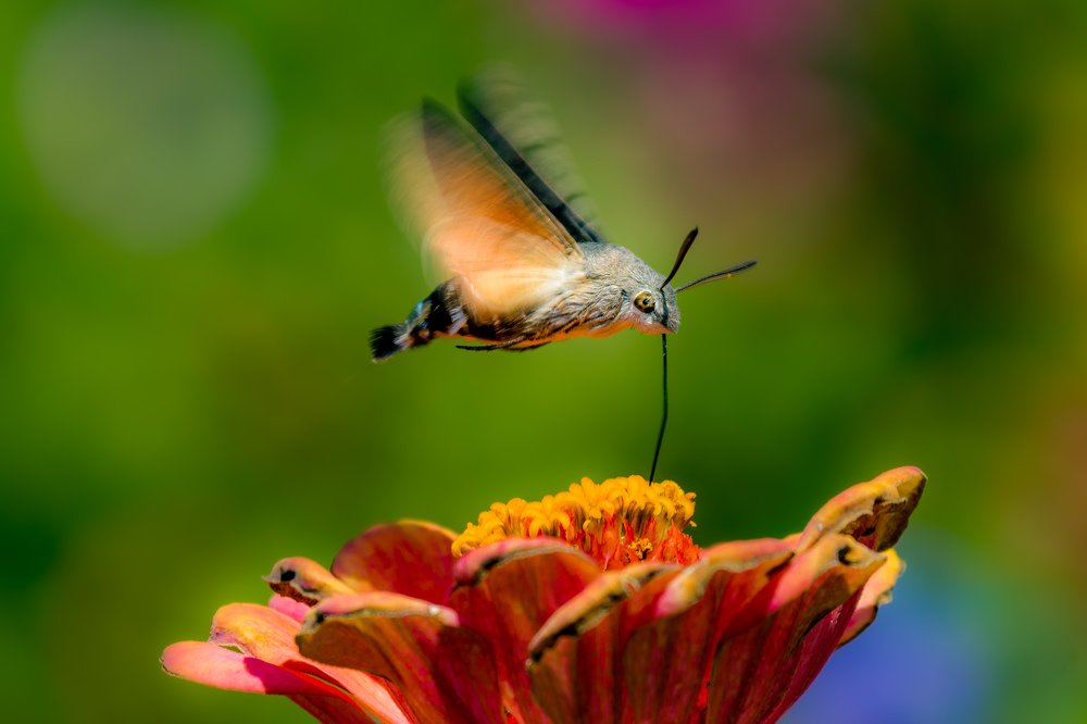 Photograph by Vahid Yavari
