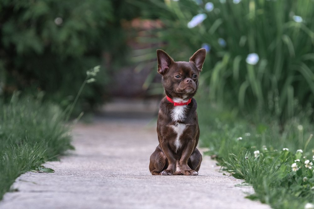 Photograph by Демьян Лопатов