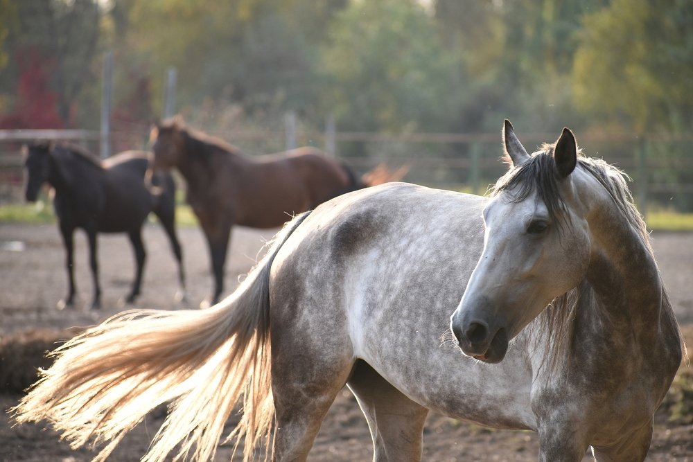 Photograph by Татьяна Крахина