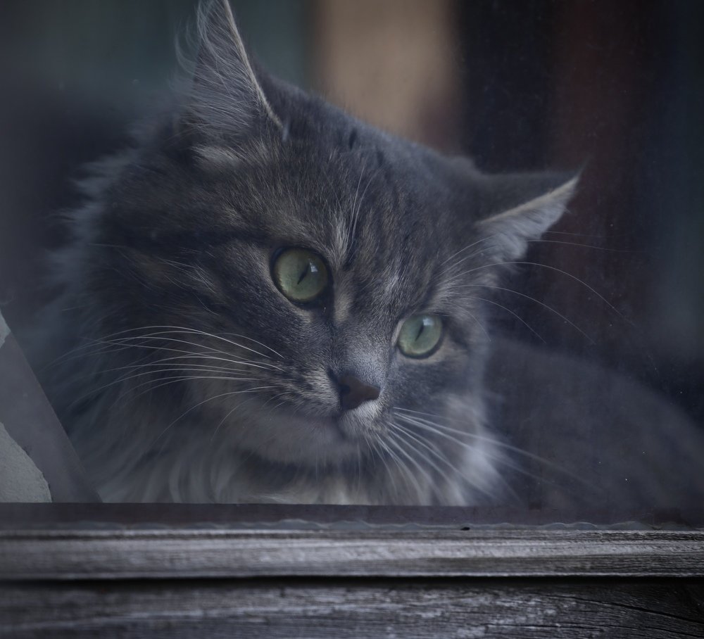 Photograph by Михаил