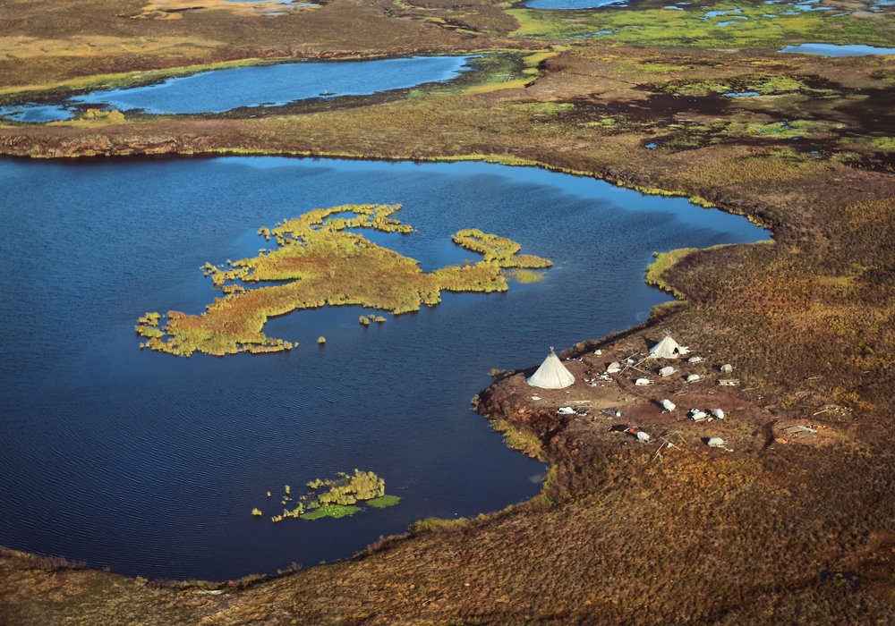 Ямальская тундра