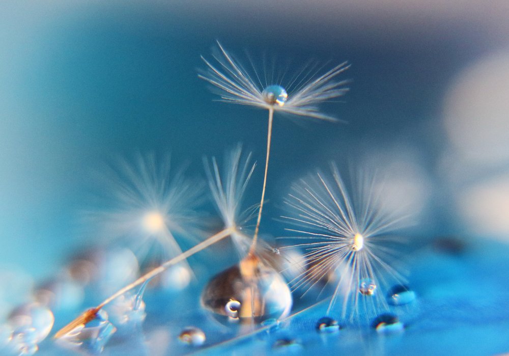 Photograph by Анна Михеева