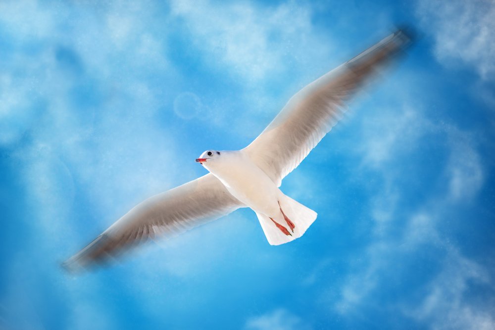 Photograph by Алексей Карпинчик