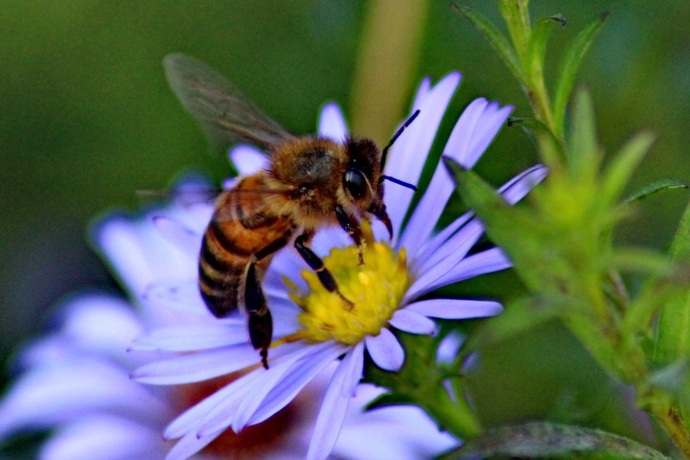 Photograph by Николай Николаевич Леухин