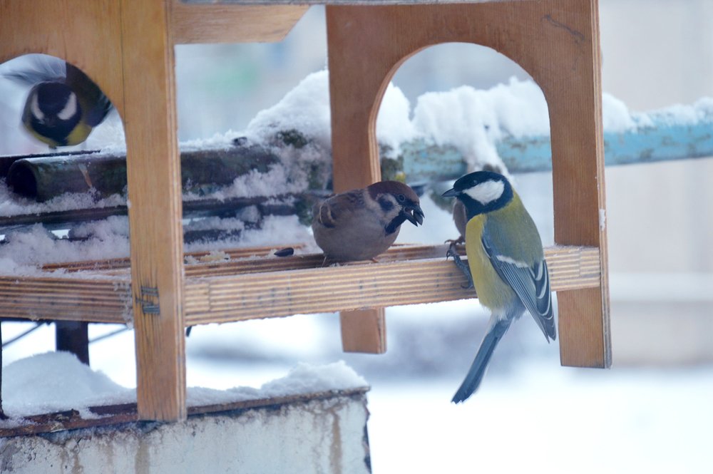 Конкуренты