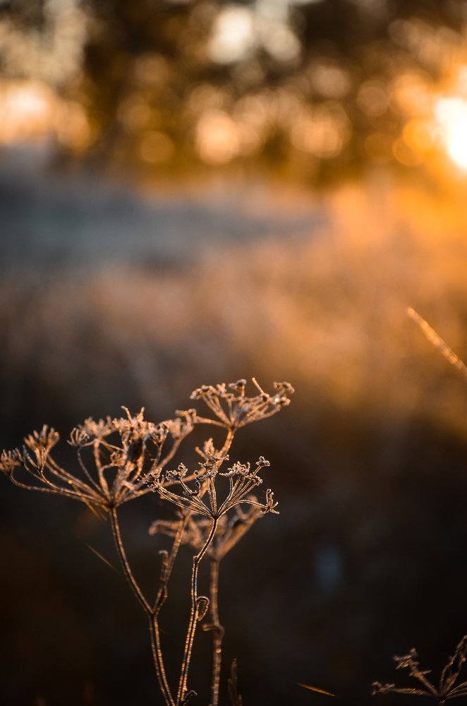 Photograph by Юрий Шмидт