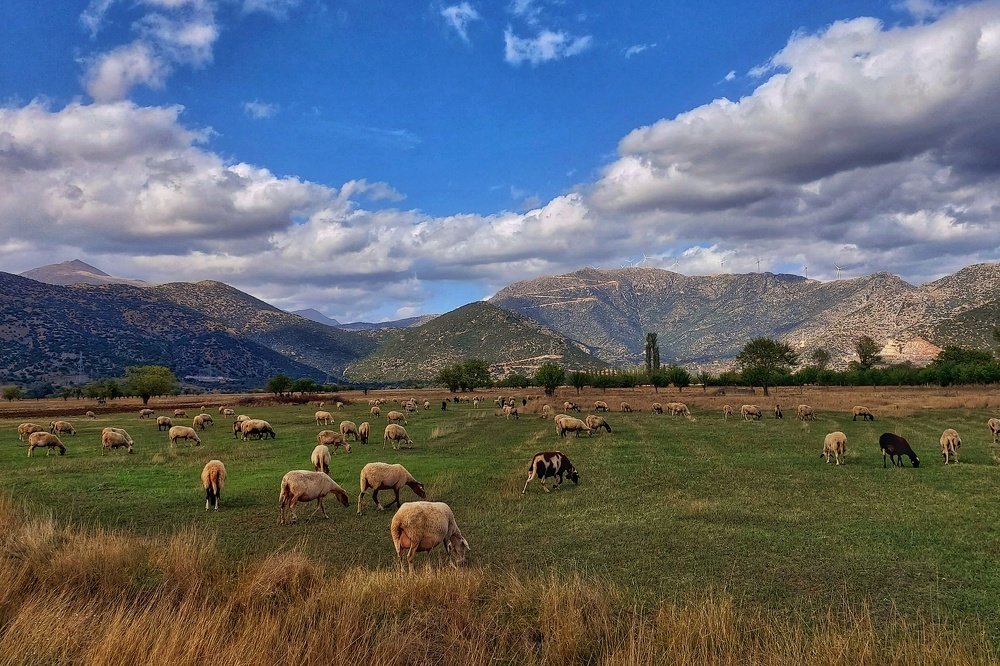 Photograph by Katerina Kanellopoulou