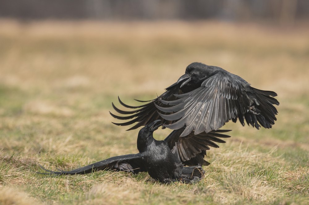 Photograph by Ernestas Balcikonis