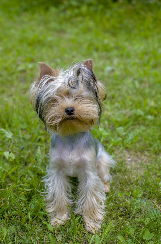 Photograph by Михаил Серебренников