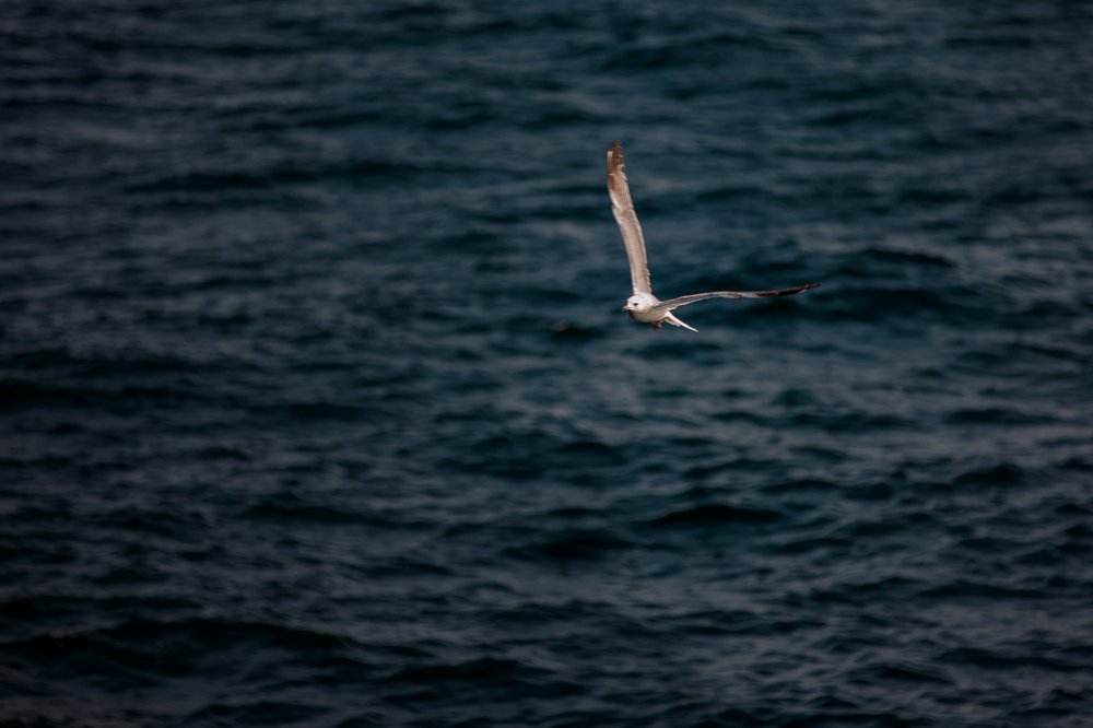 Photograph by Павел Беляев