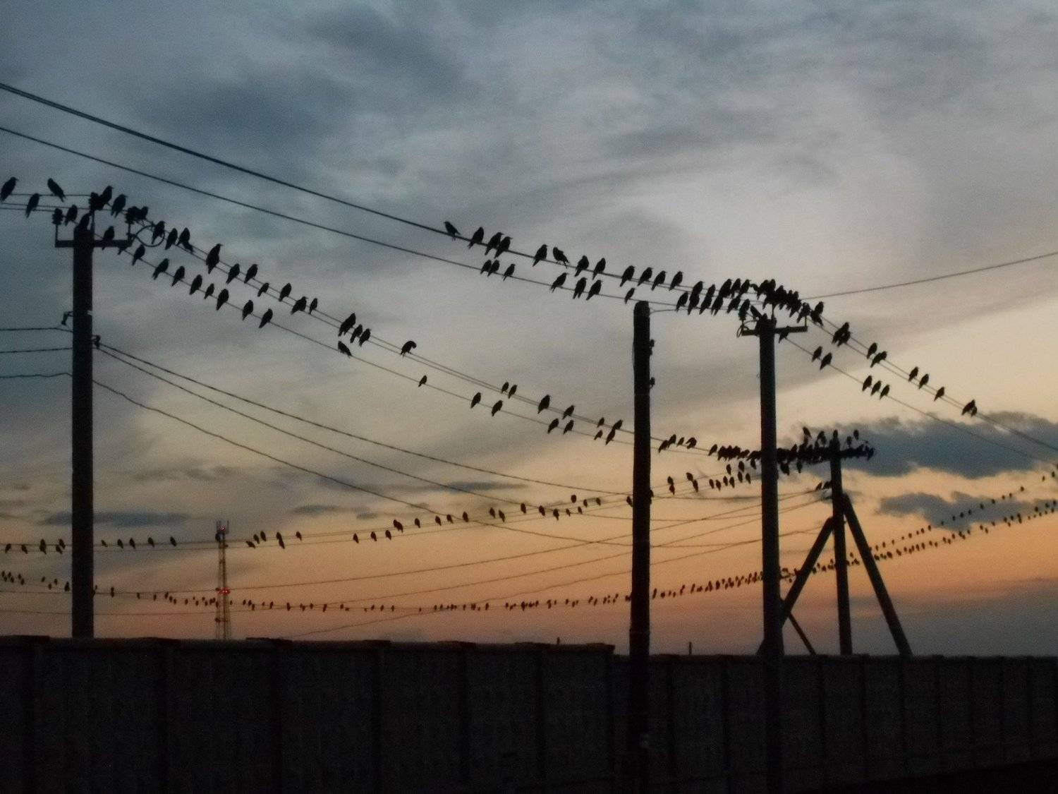 Photo #5020092