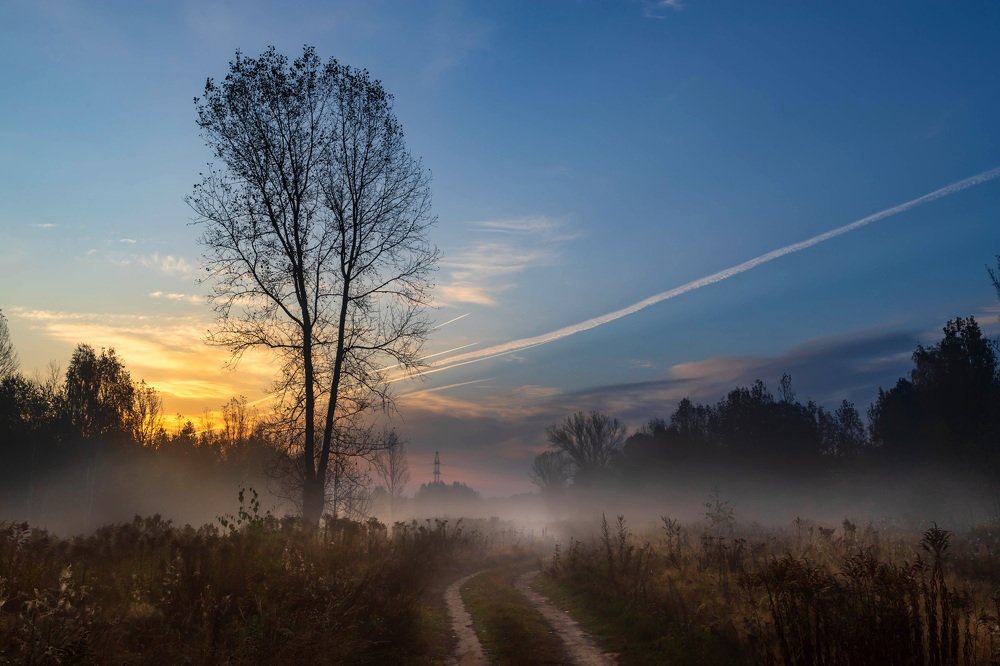Photograph by Сергей Кочетов