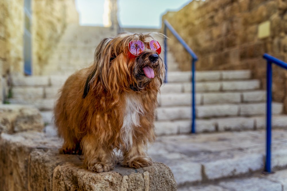 Photograph by Andrey Pochernin