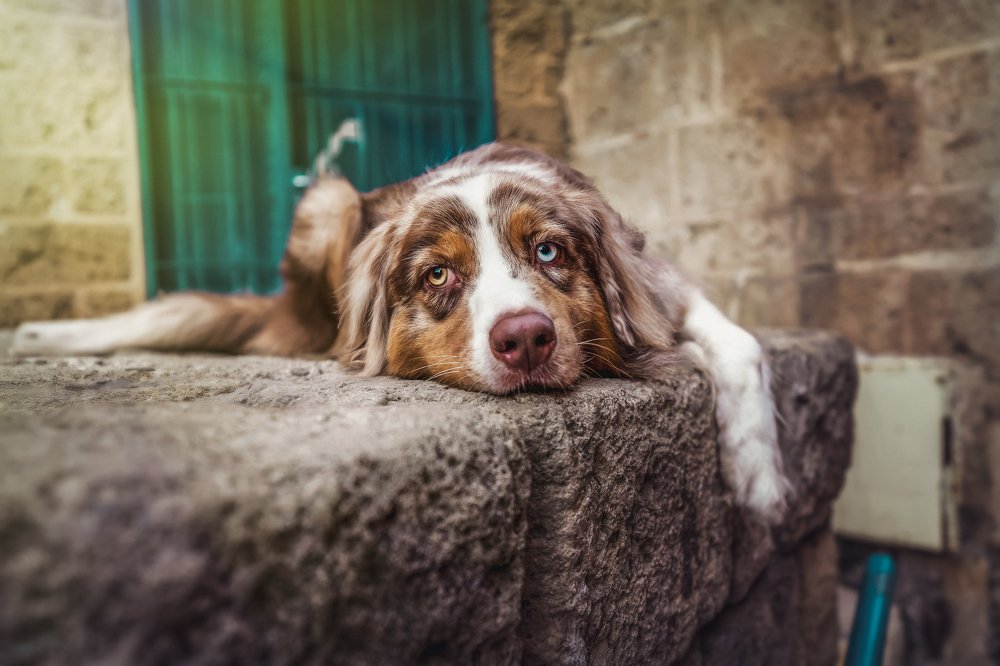 Photograph by Andrey Pochernin