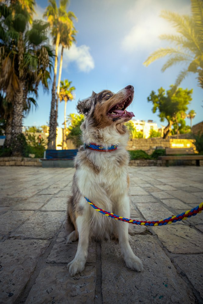 Photograph by Andrey Pochernin