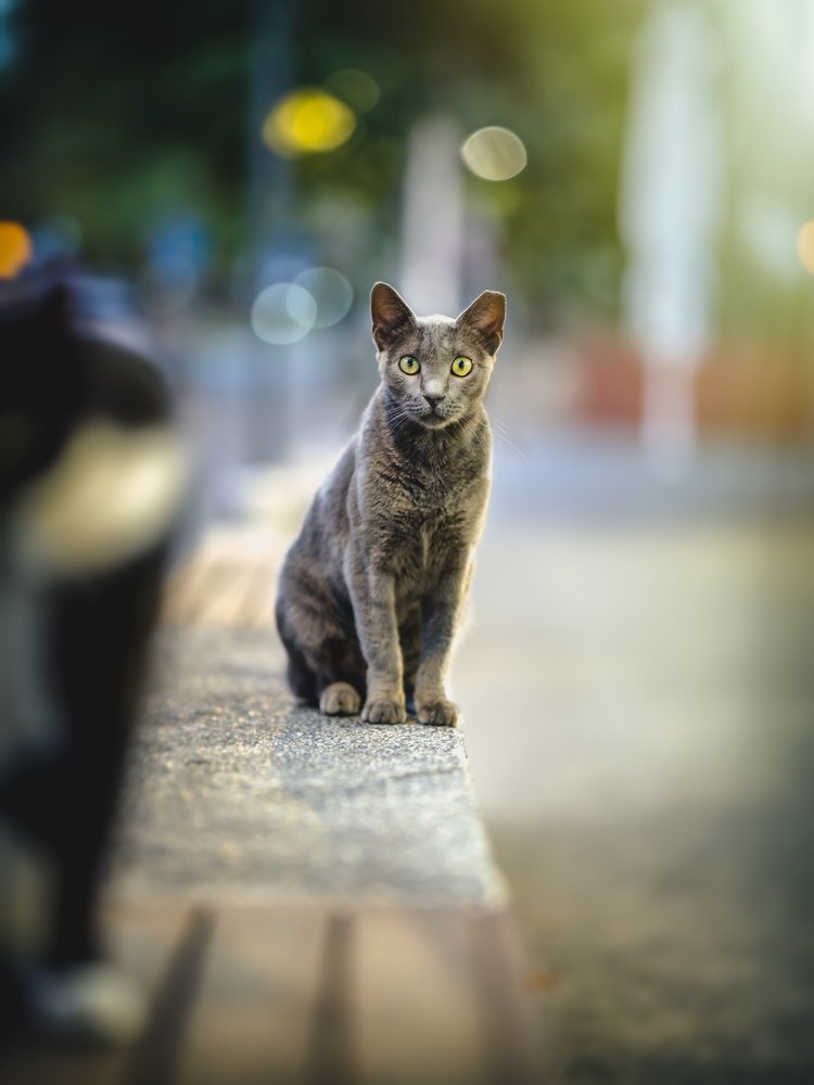 Photograph by Andrey Pochernin