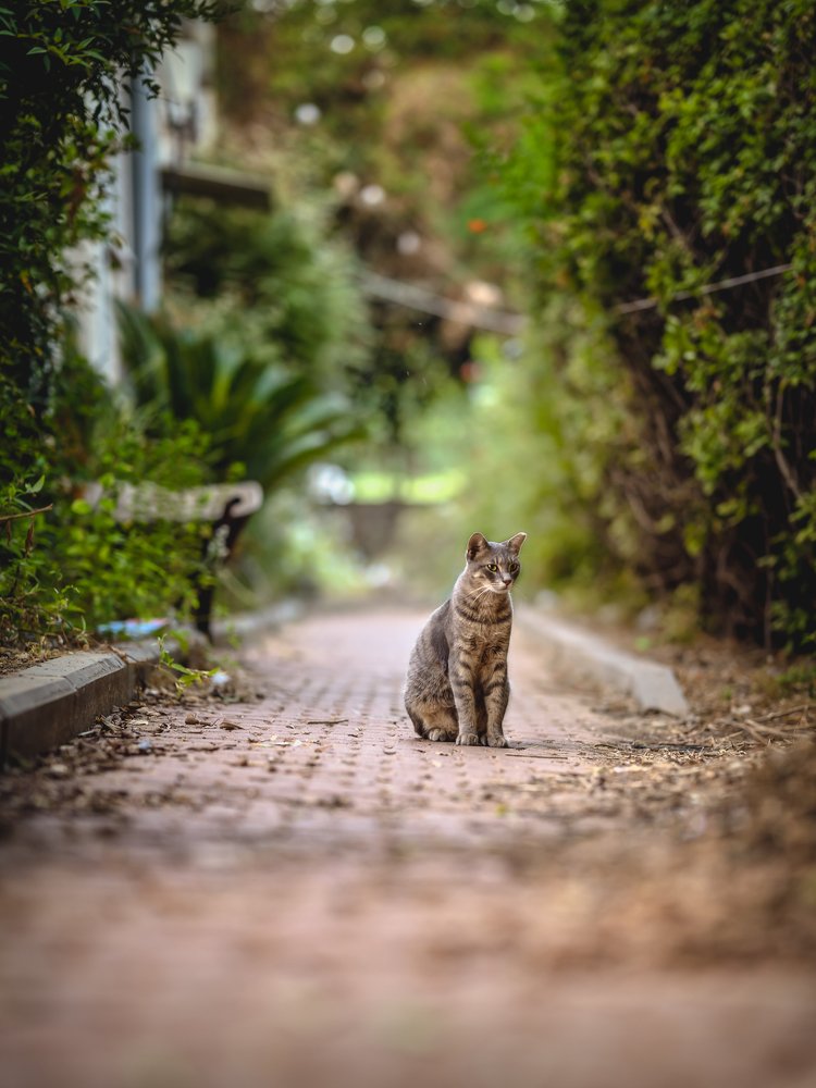 Photograph by Andrey Pochernin