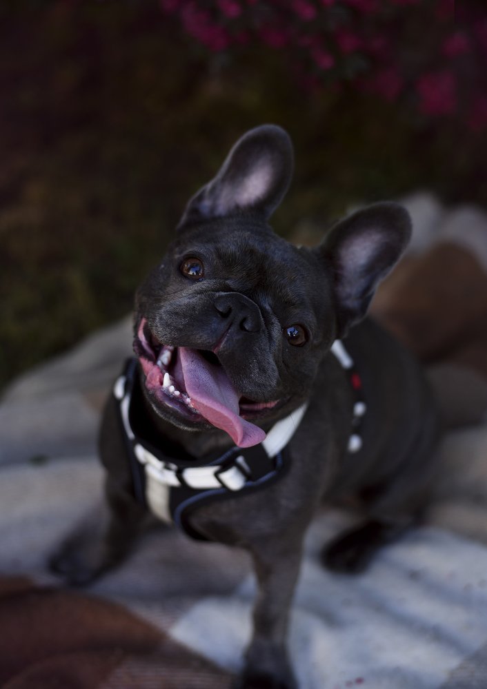 Photograph by Татьяна Катеренюк