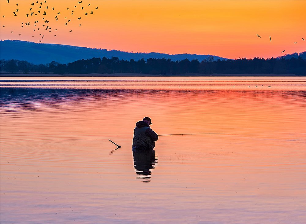 Photograph by William Hole