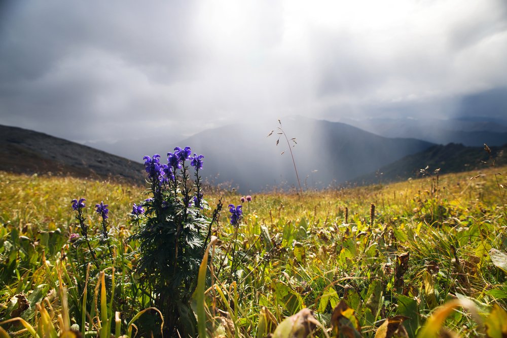 Дождь над долиной