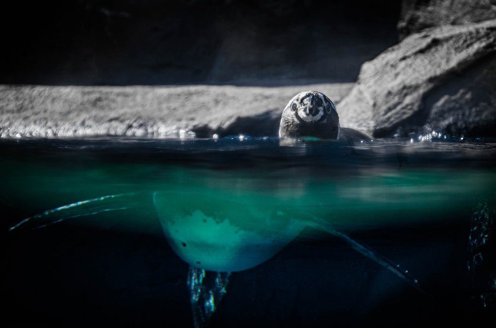 Photograph by Кирилл Савенко