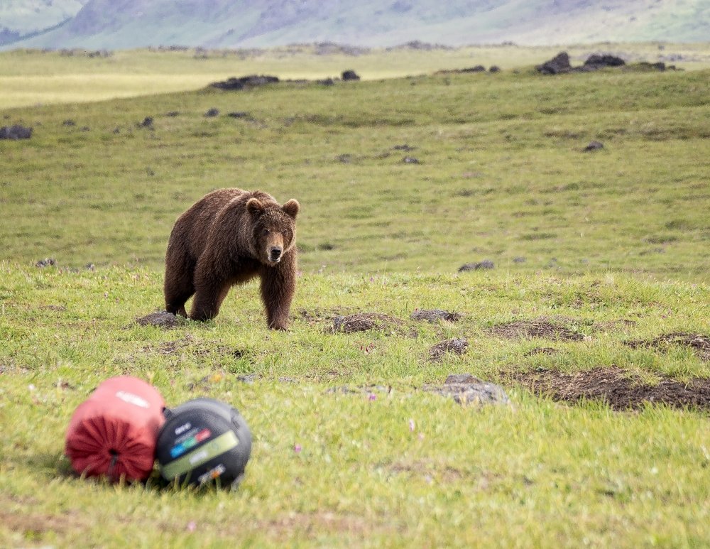 Photograph by Анатолий Салтыков