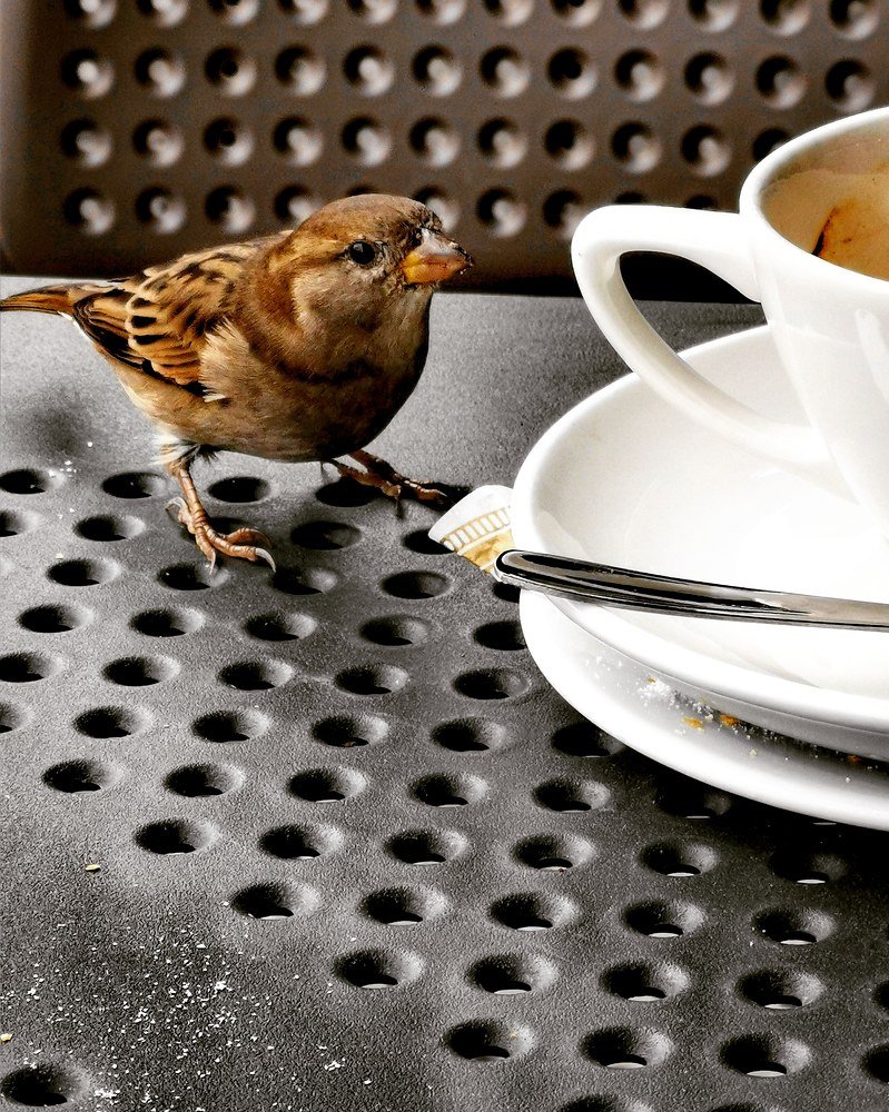 Фотография автора Павел Барский