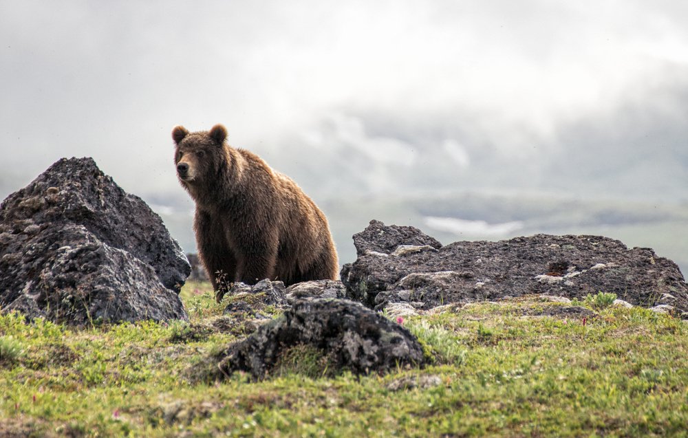 Photograph by Анатолий Салтыков