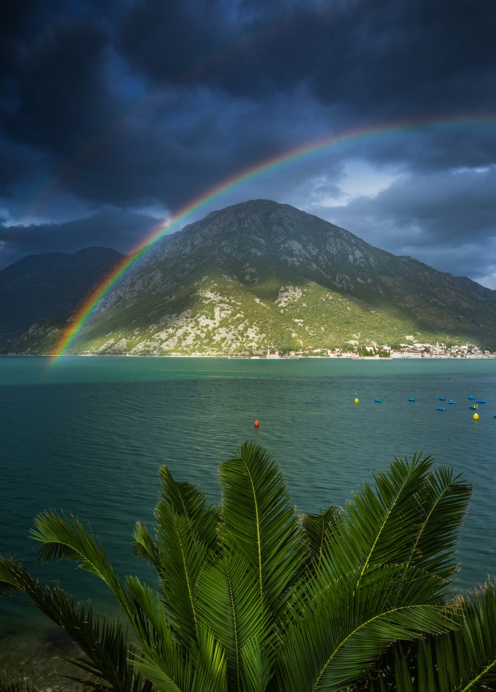 Photograph by Алексей Бойко