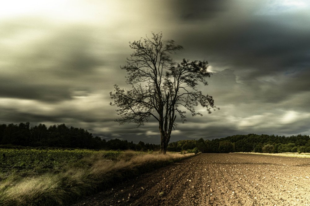 Photograph by Agnieszka Szadowiak