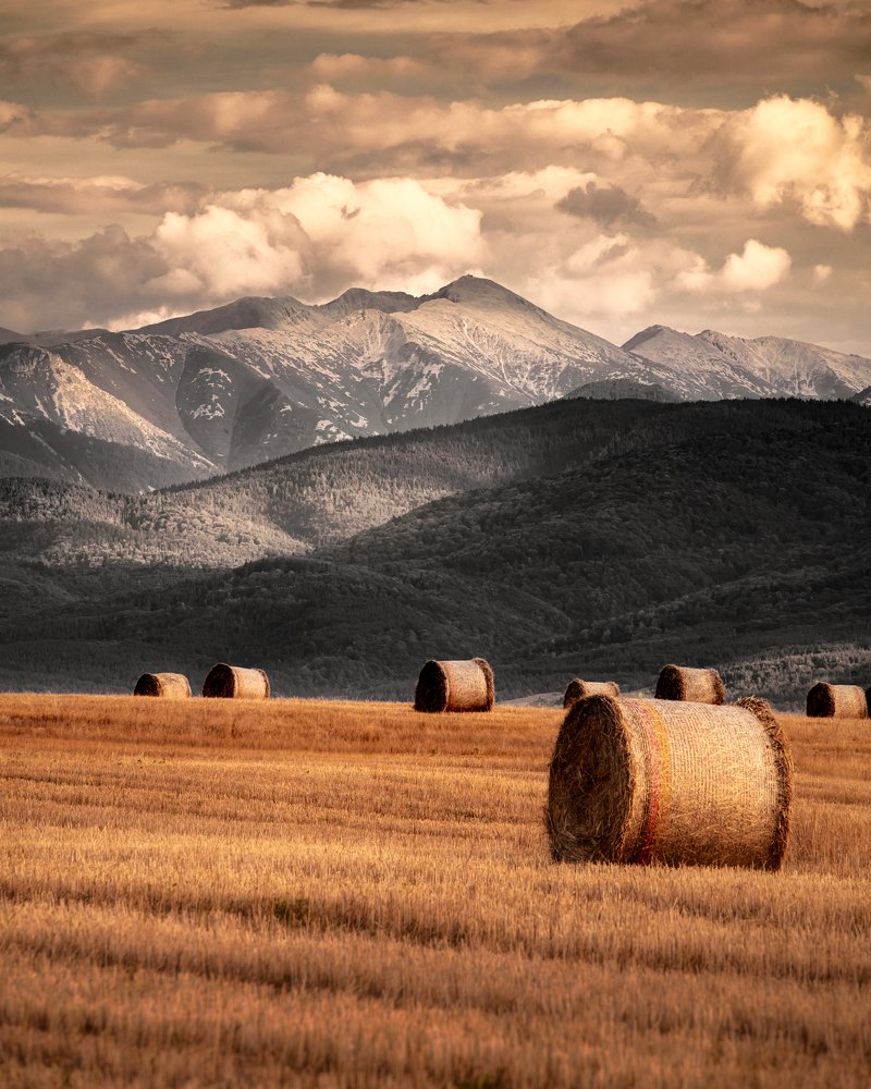Фотография автора Nikolay Ivanov