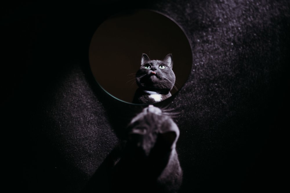 Фотография автора Ksenia Rososhek