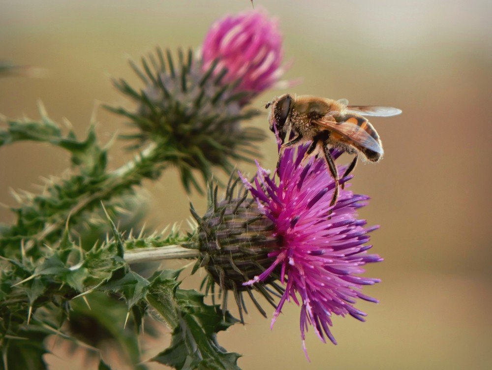 Фотография автора Валентина Гундарева