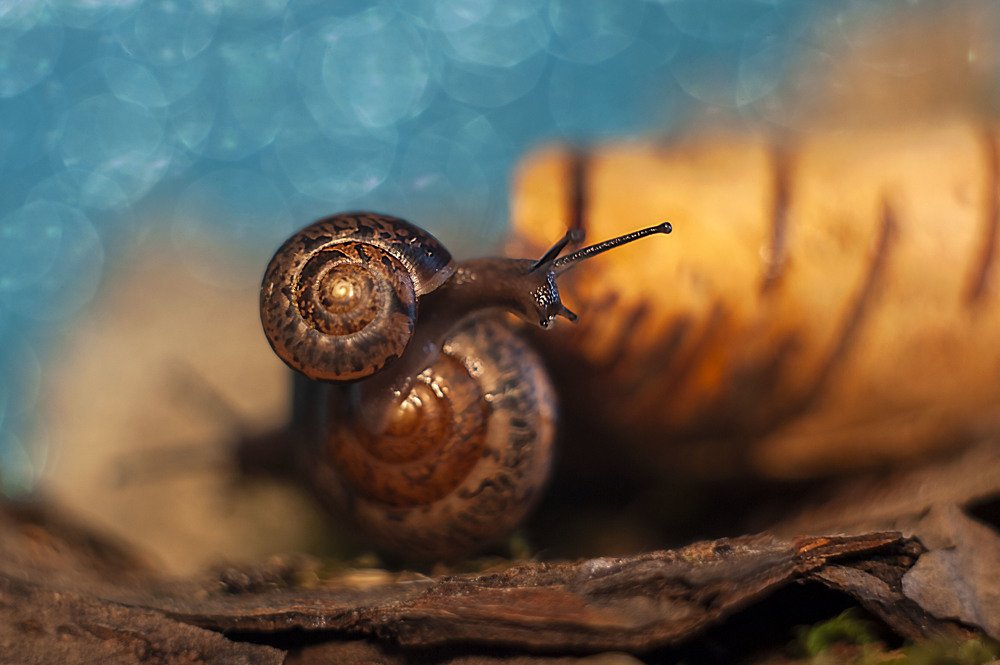 Photograph by Юлия Щербакова