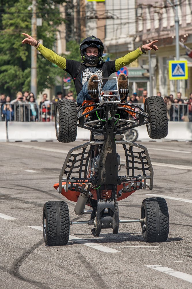 современный кентавр