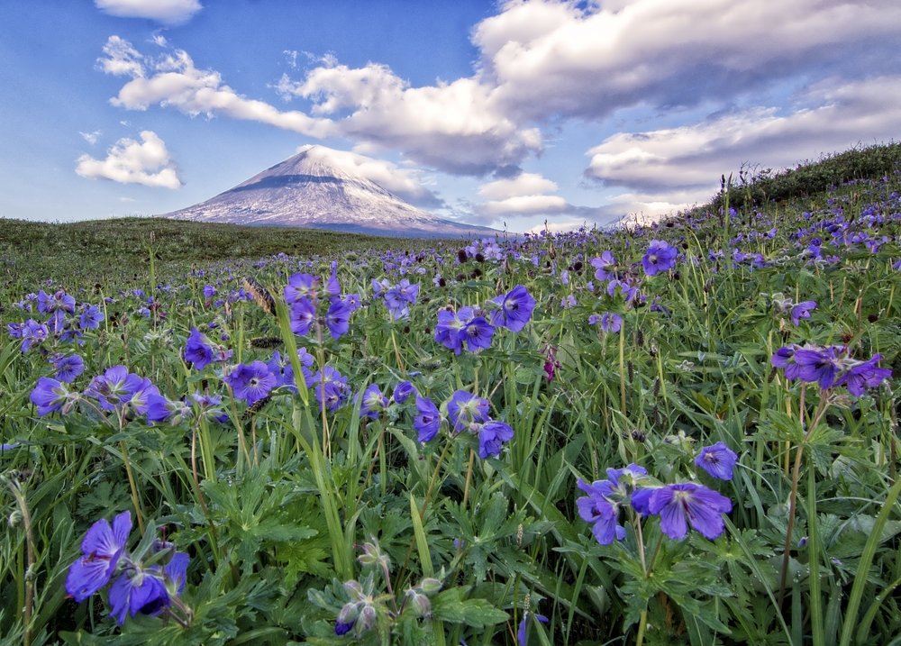 Photograph by Анатолий Салтыков