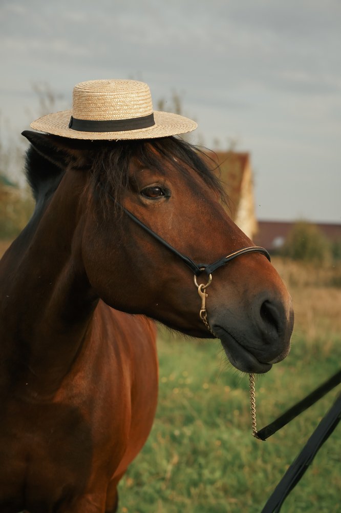 Photograph by Елена Полякова