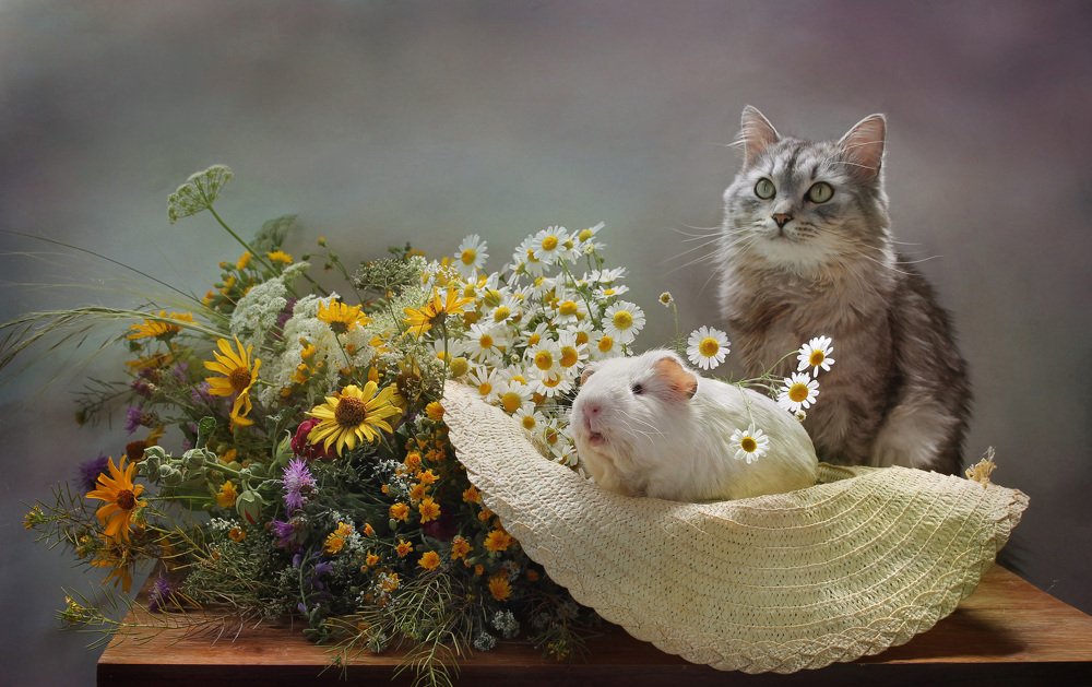 Солнечное лето