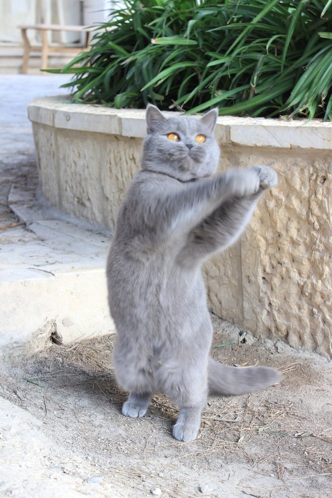 Танцуй пока молодой