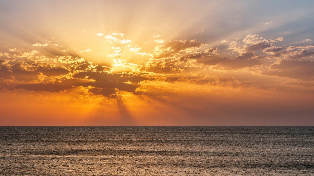 Photograph by KirillK